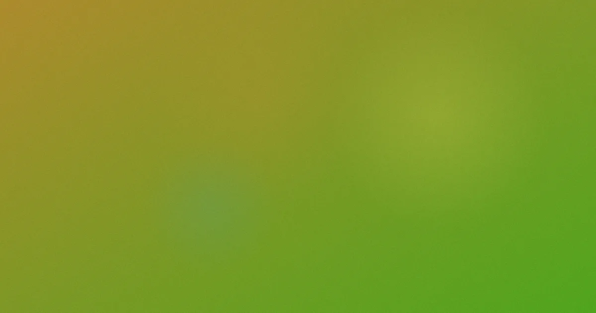 破碎测评：常见特效模板避坑问答