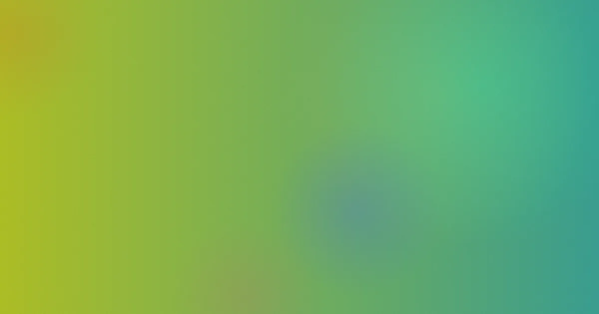 jizzu老用户避坑笔记